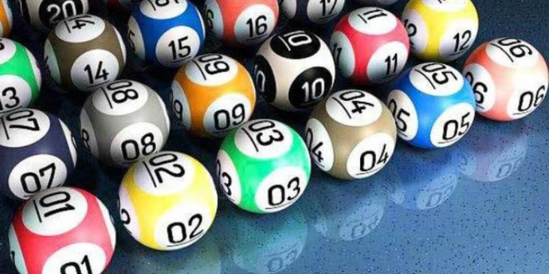 Bạch Thủ Lô Là Gì Và Cách Áp Dụng Hiệu Quả Trong Thực Chiến