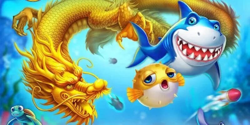 Các yêu cầu cần nắm về các kỹ thuật bắn cá